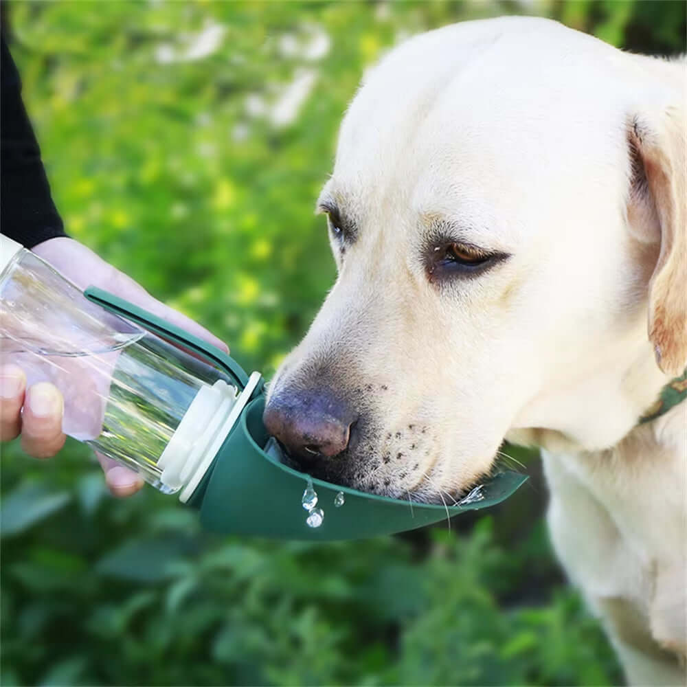 Portable Pet Water & Food Bowl Feeder 