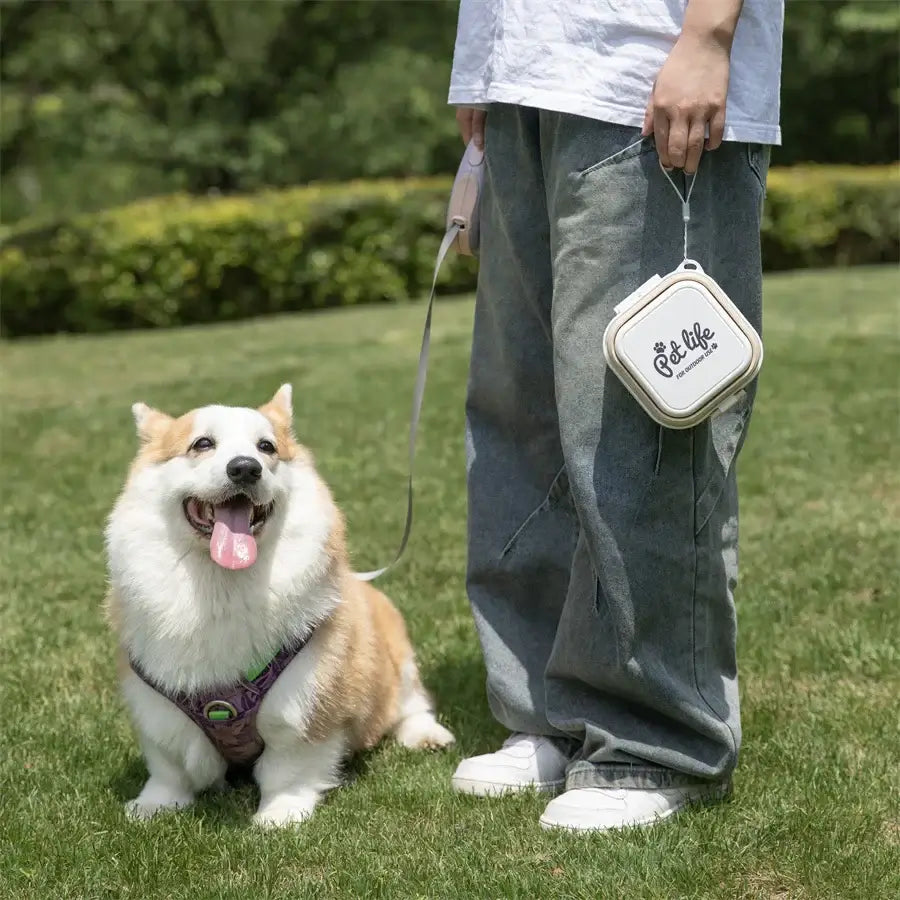 PawGo Portable Dog Bowl