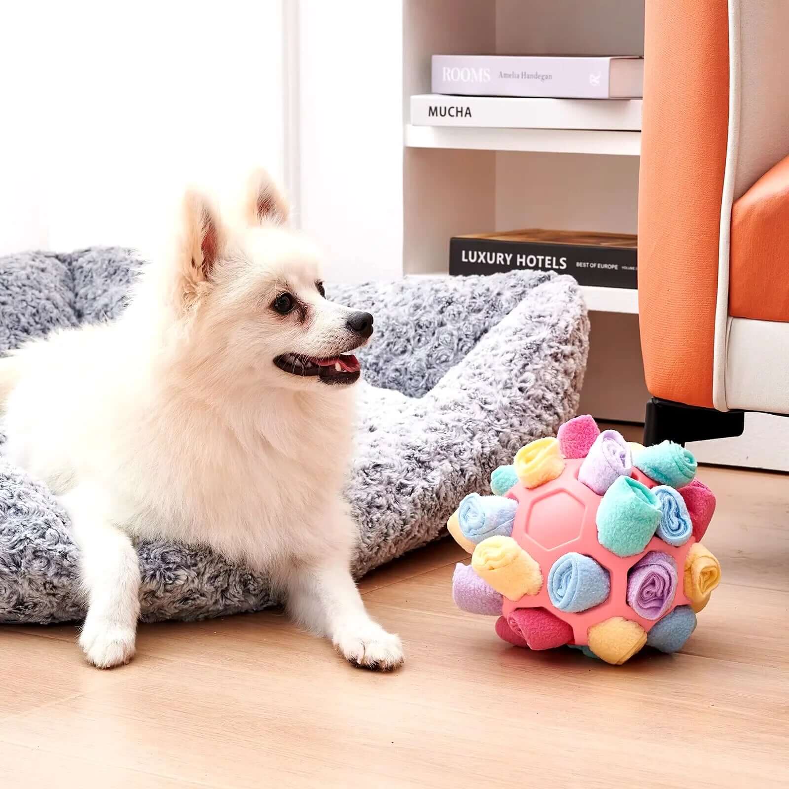 Puzzle Interactive Training Pet Toy